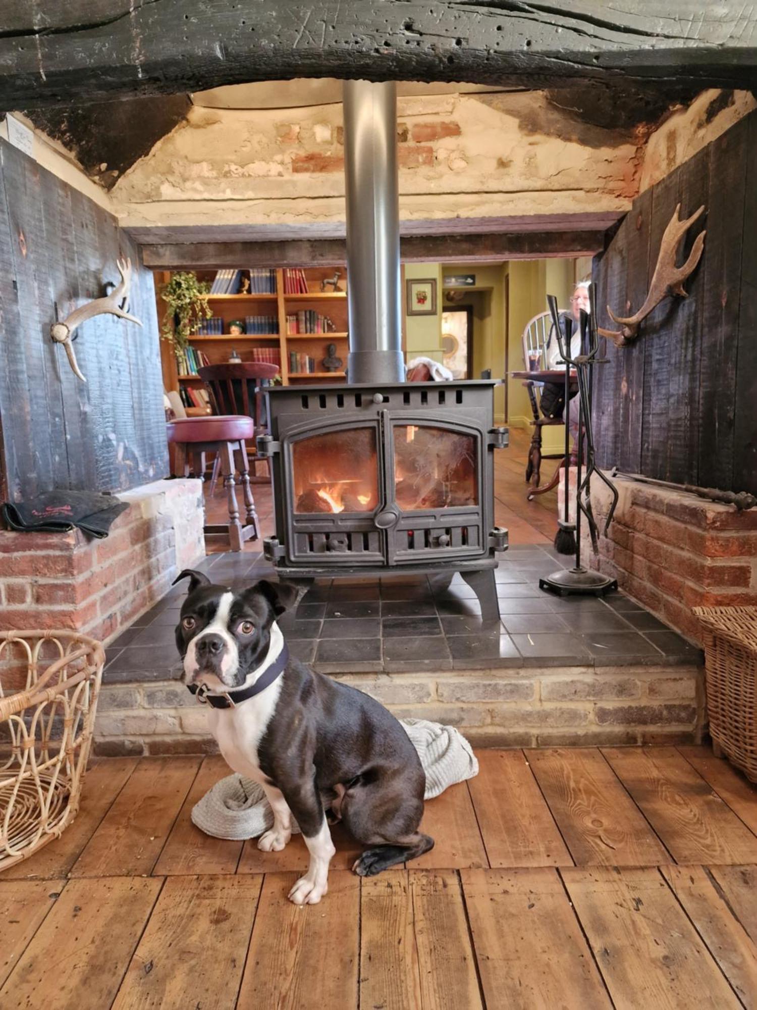 The Duke On The Test Romsey Exterior foto
